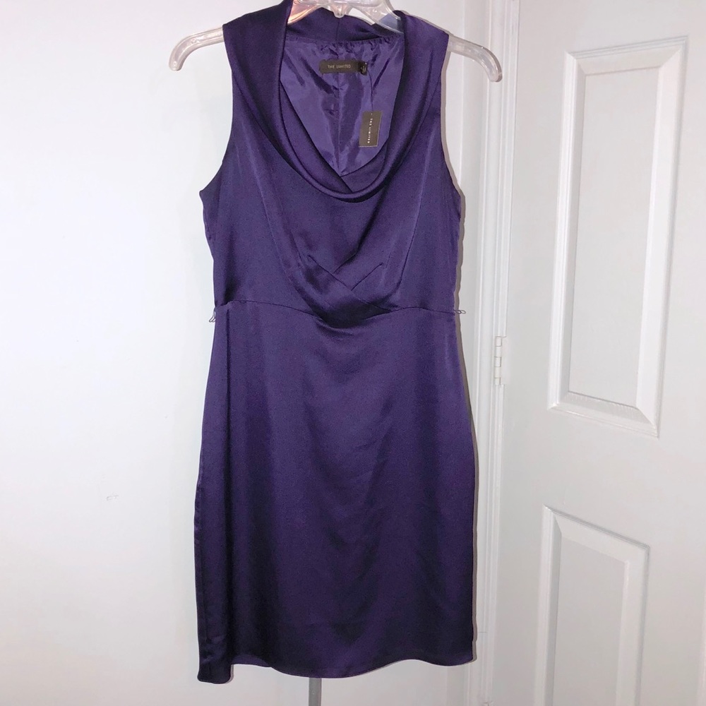 The Limited Dress
